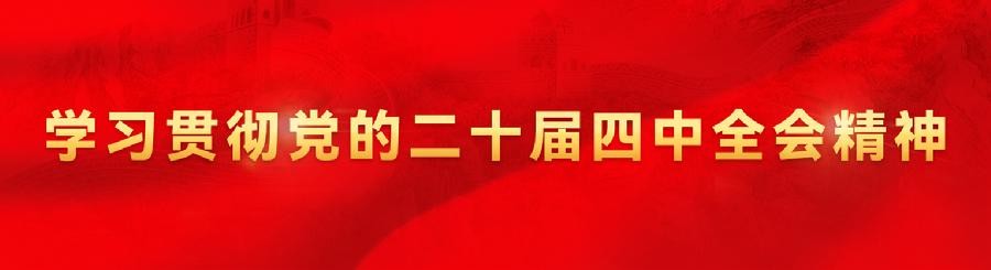 学习贯彻党的二十届四中全会精神